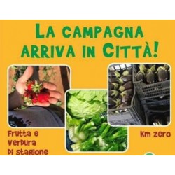 Mix cassetta di frutta e verdura